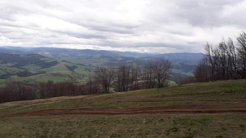 Transcarpathia