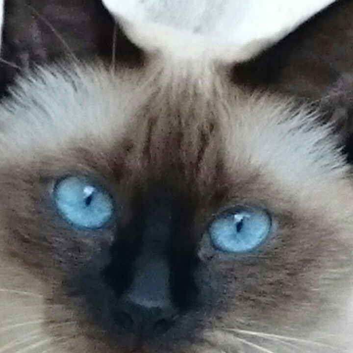 My princess