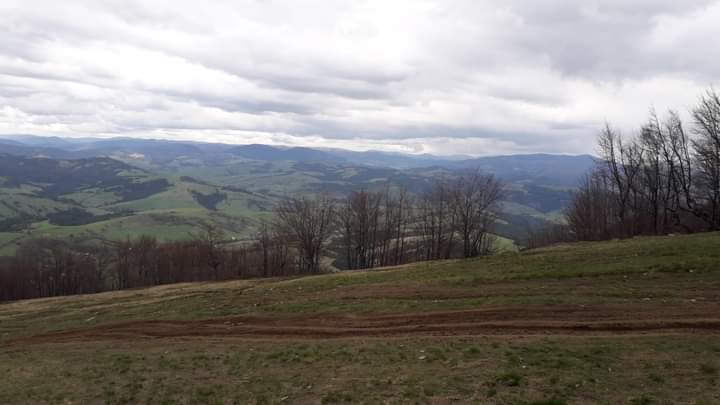 Transcarpathia