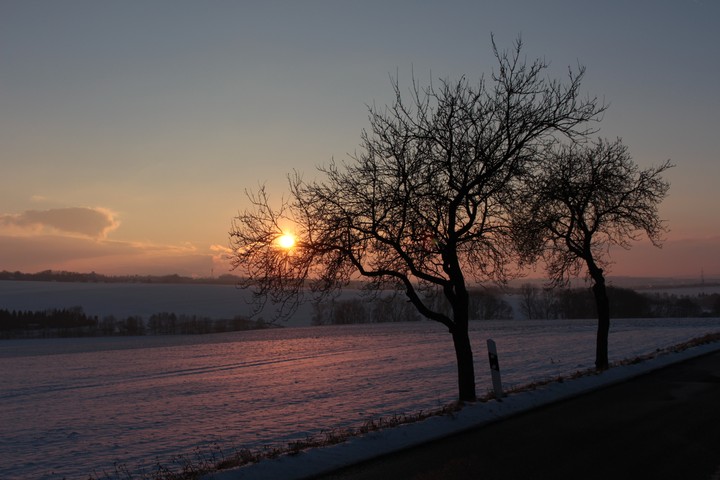 Winter
