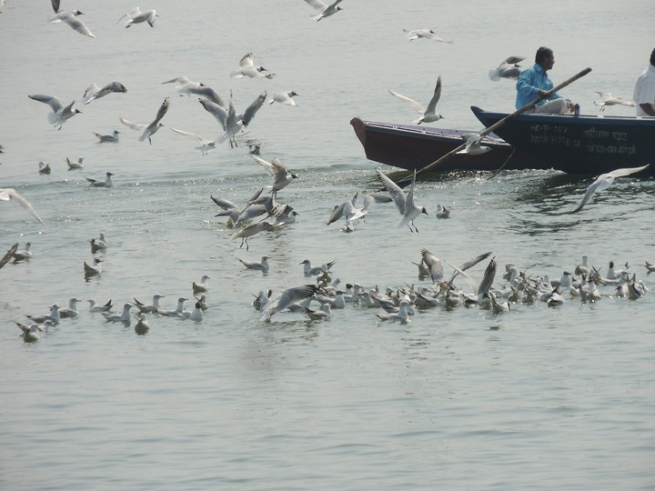 Banarash Ghat In UP INDIA