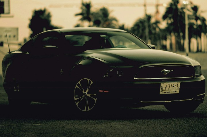 Mustang