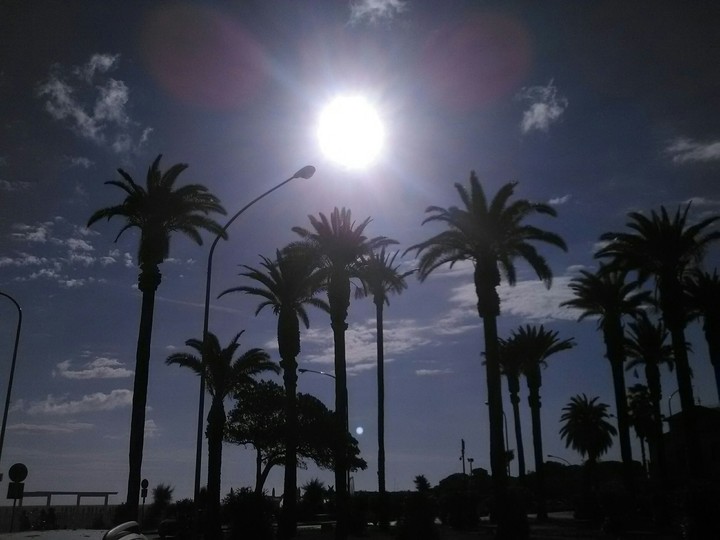 Morning
