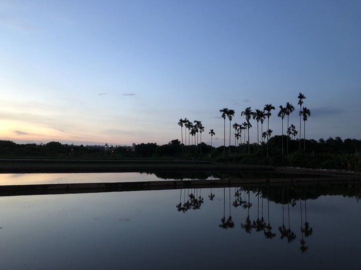 peaceful