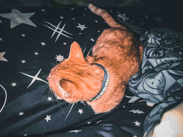 sleep ?