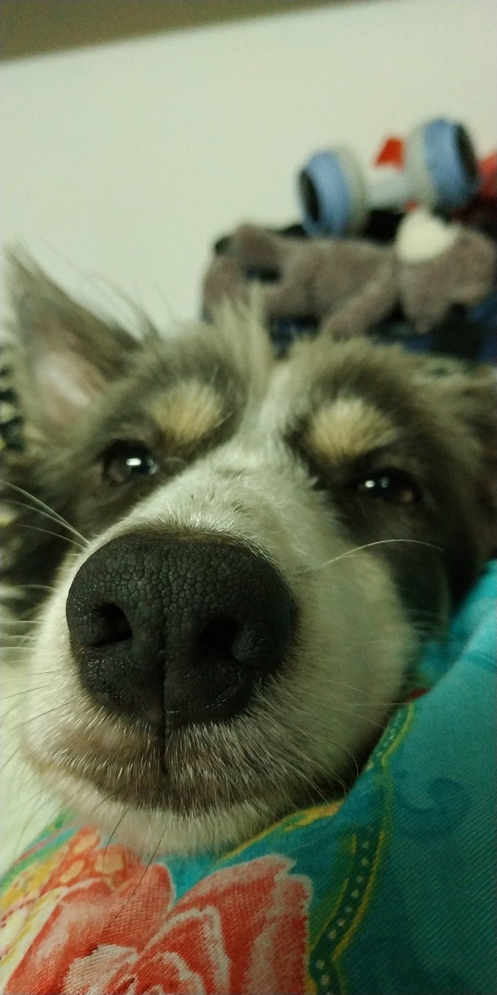 Sleepy Girl