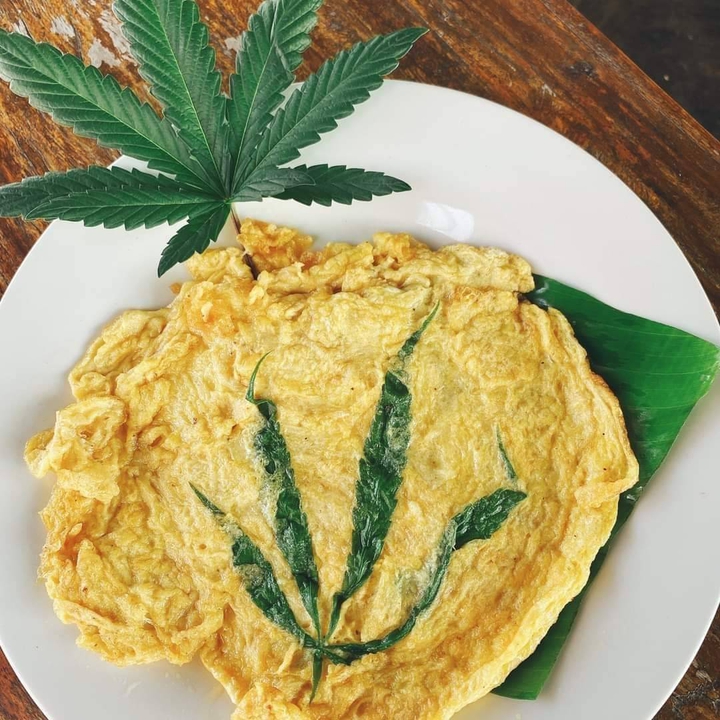 omelet