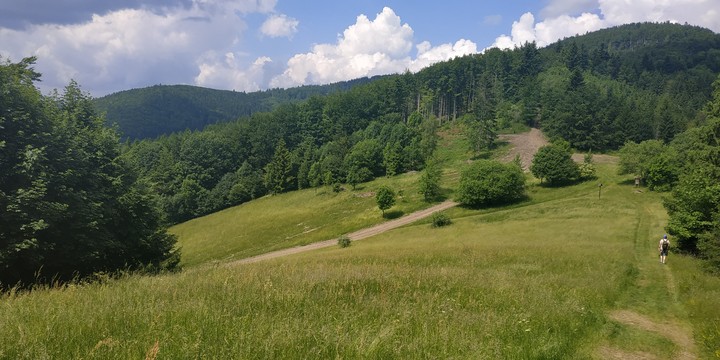 I love nature