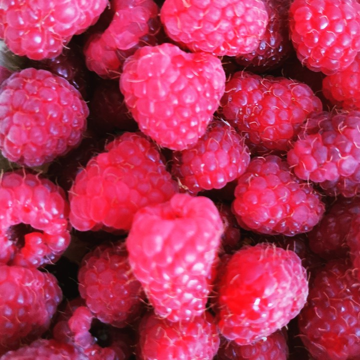 raspberry
