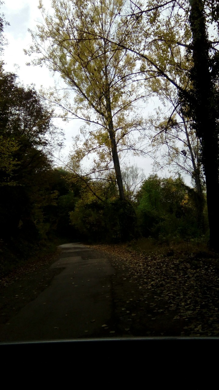 autumn