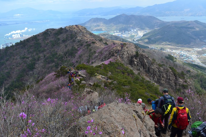 영취산이미지