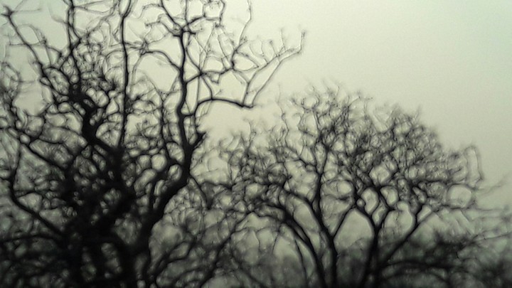 Dawn!