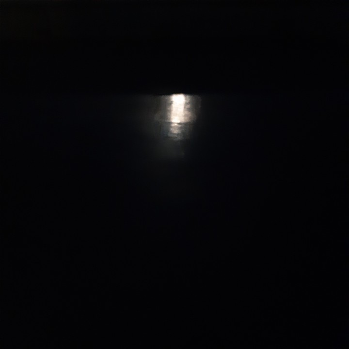 빛