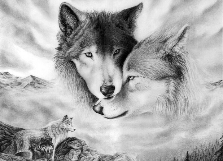 Wolf Pack.