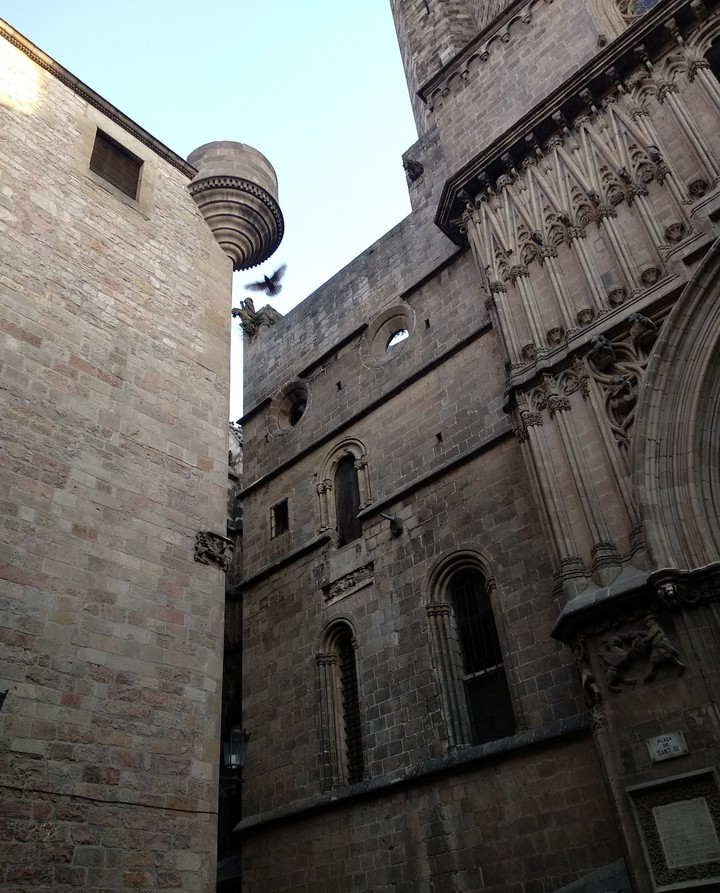 perfect gothic