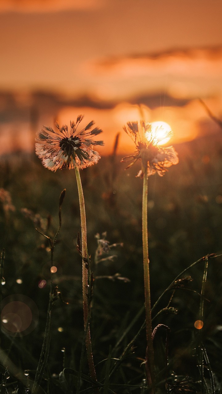 perfect nature