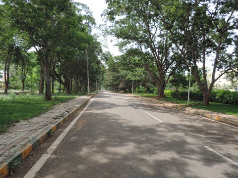 endless road