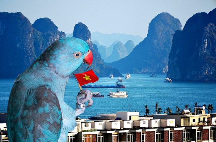 ha long bay