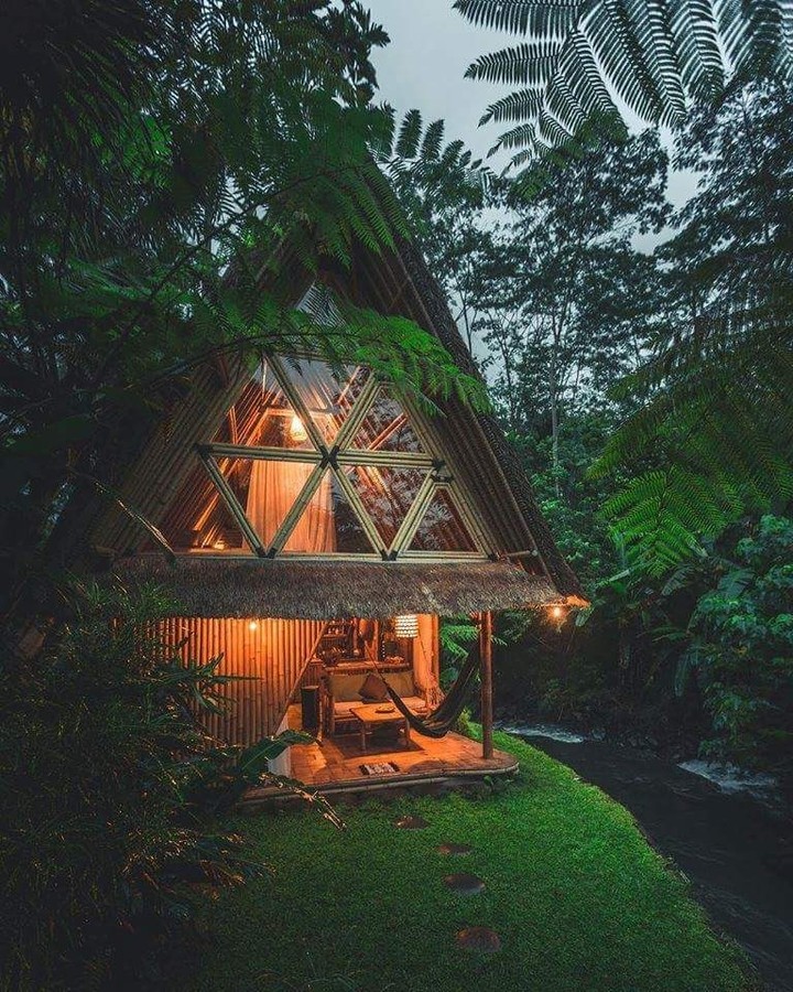 Forest house