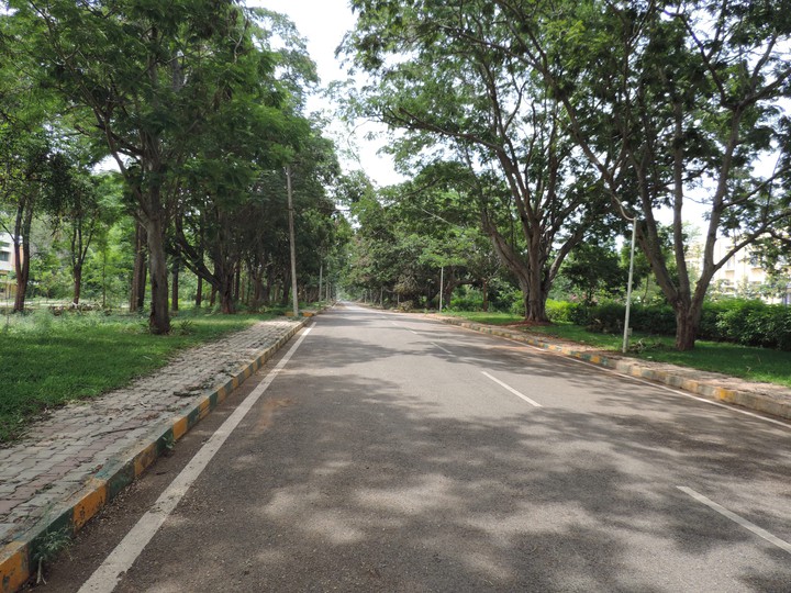 endless road
