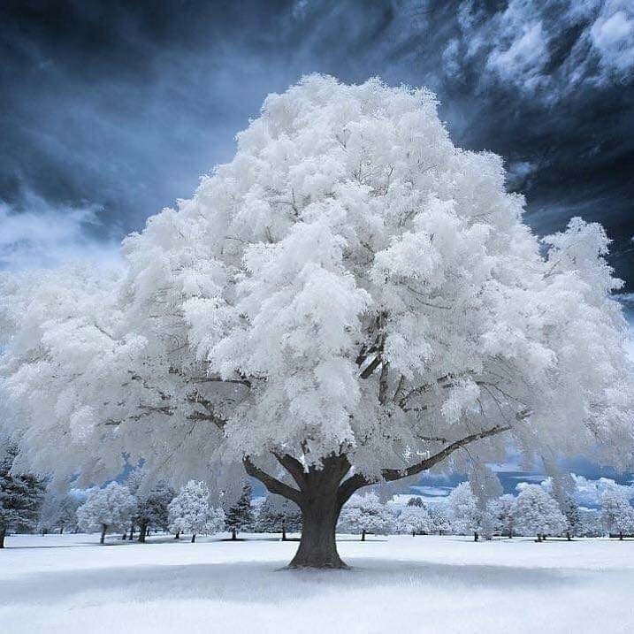 **