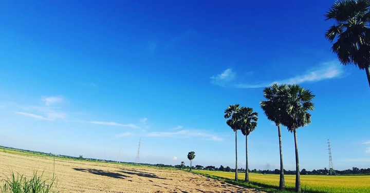สดชื่น