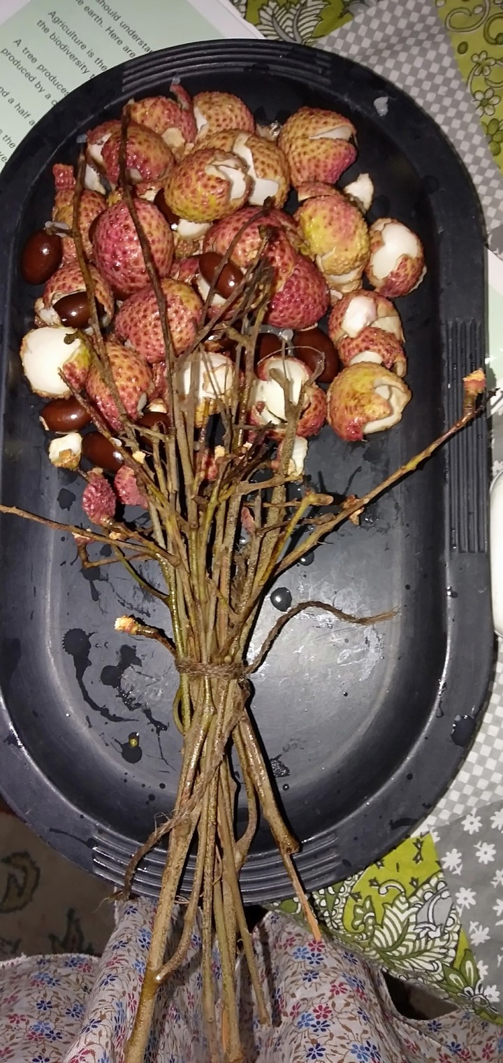 food art