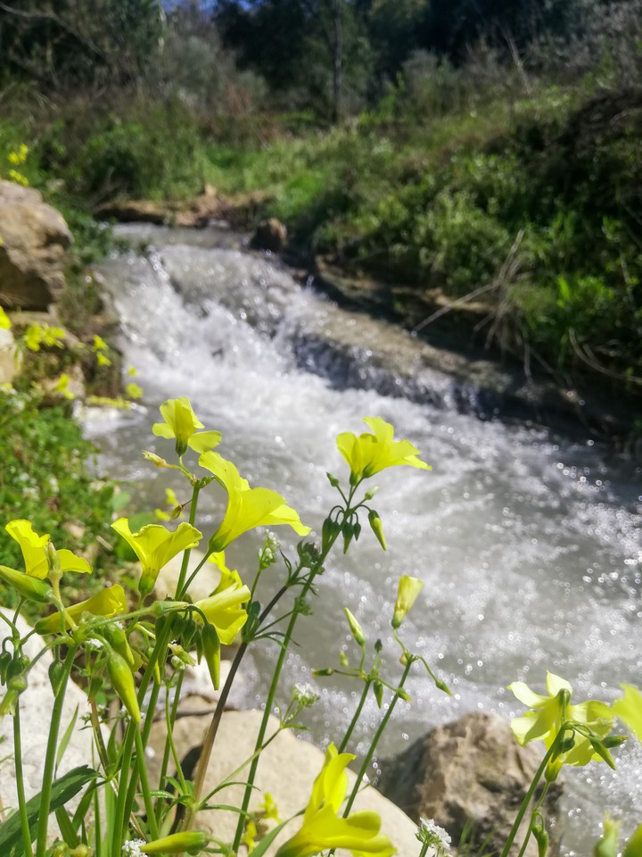 River