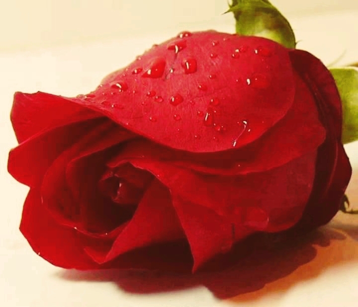 someone Special but missing till yet