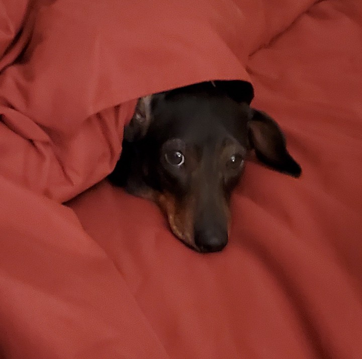 Minnie Mae