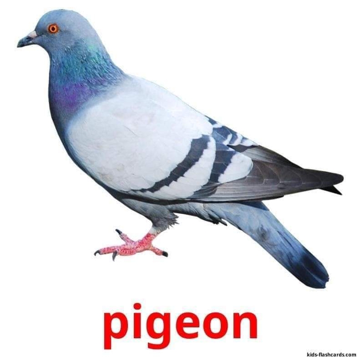 .
