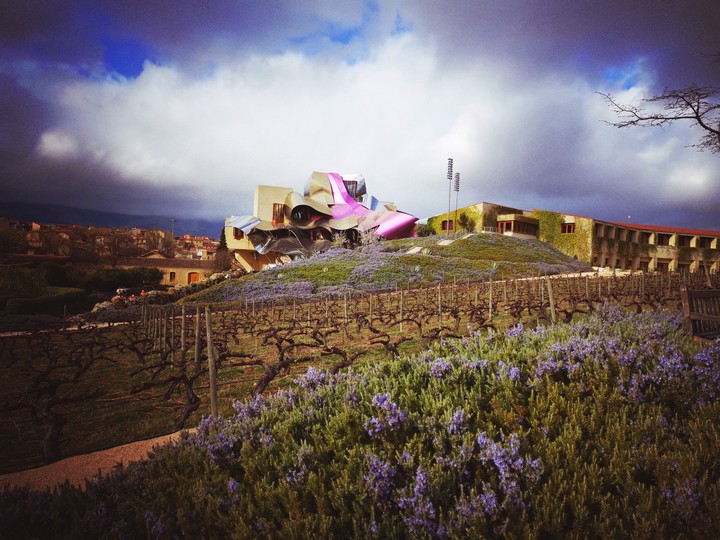 winery el ciego