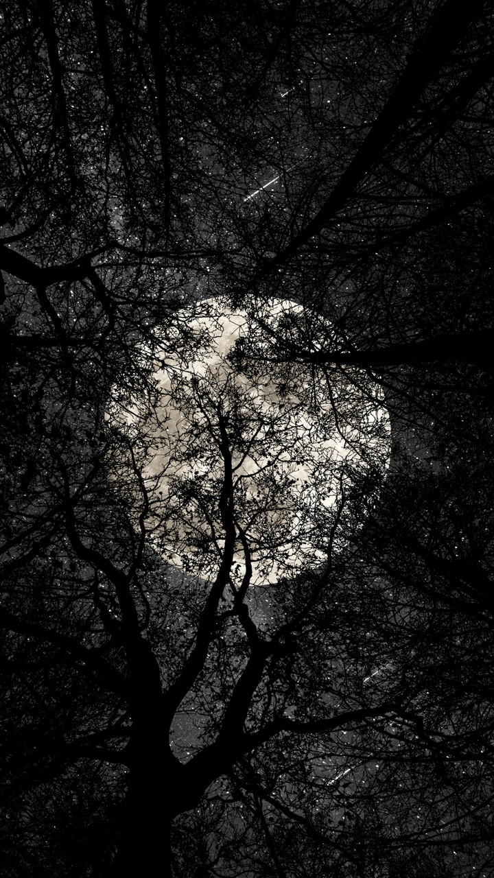 night