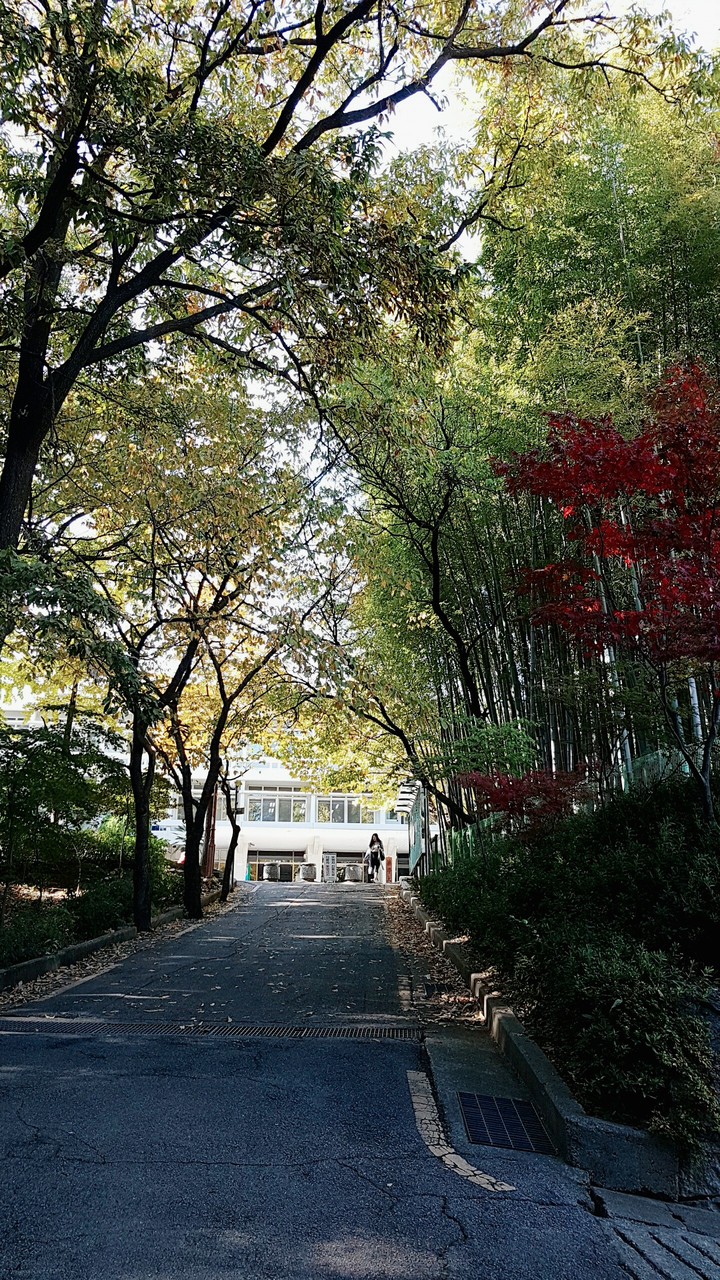 대학