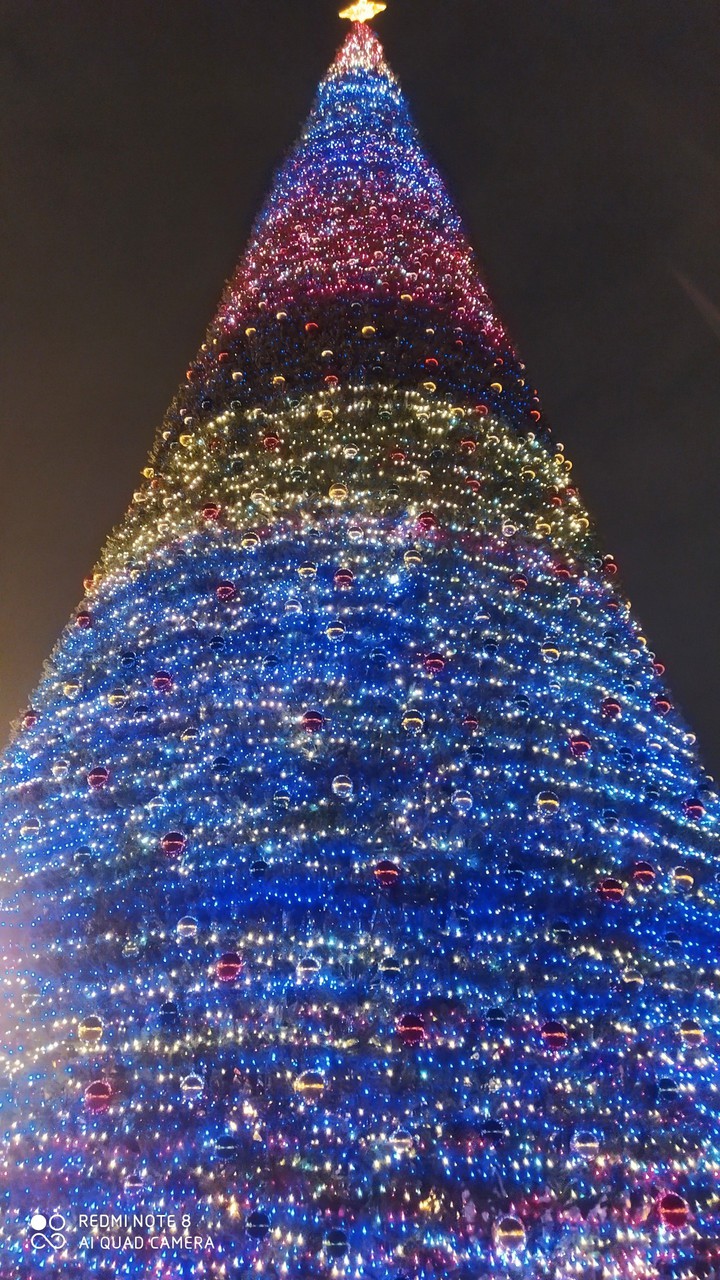 Christmas tree in Yerevan