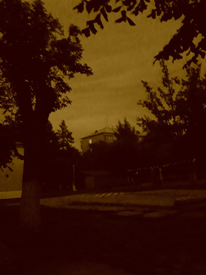 tree