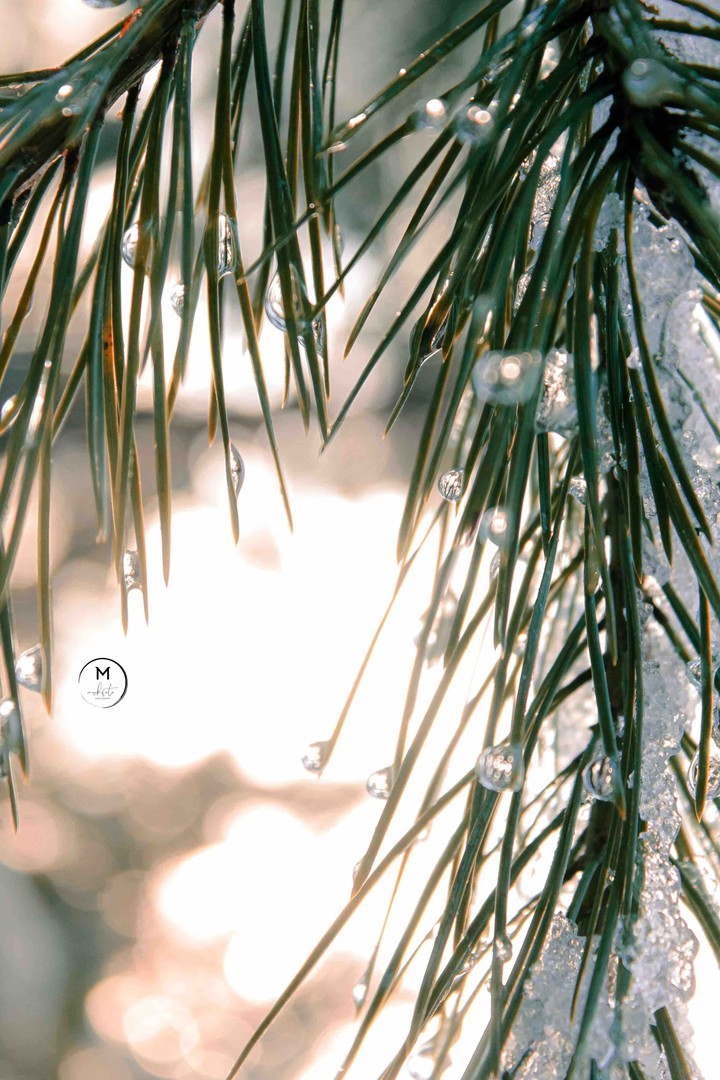 Raindrops & snow