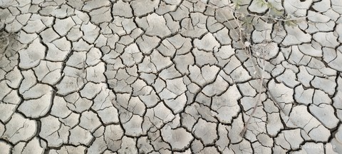 pattern, soil wallpapers