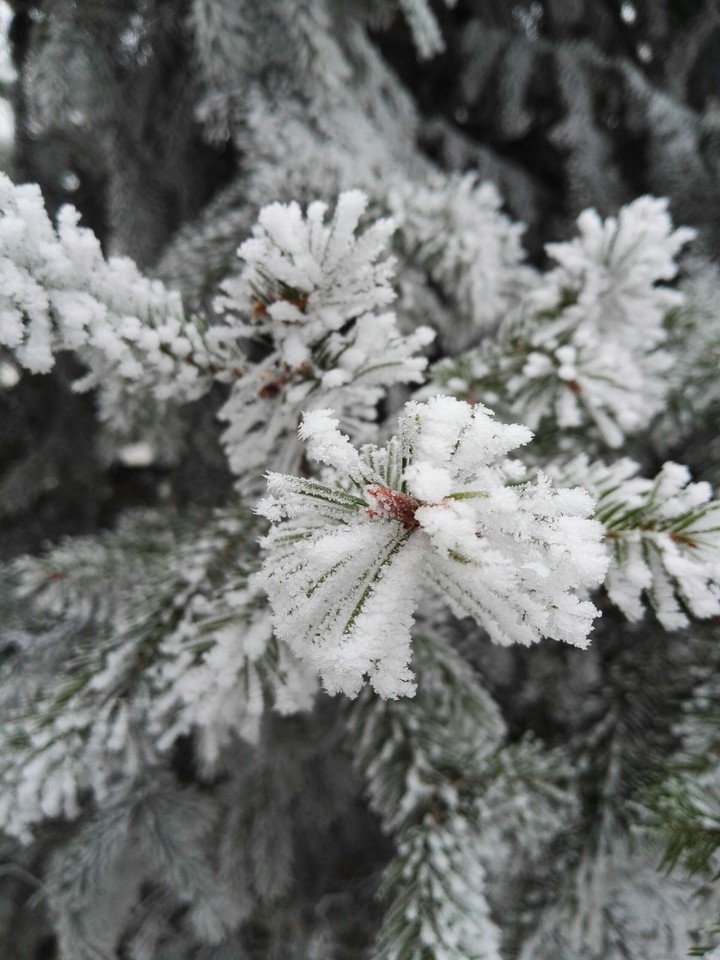 Winter 