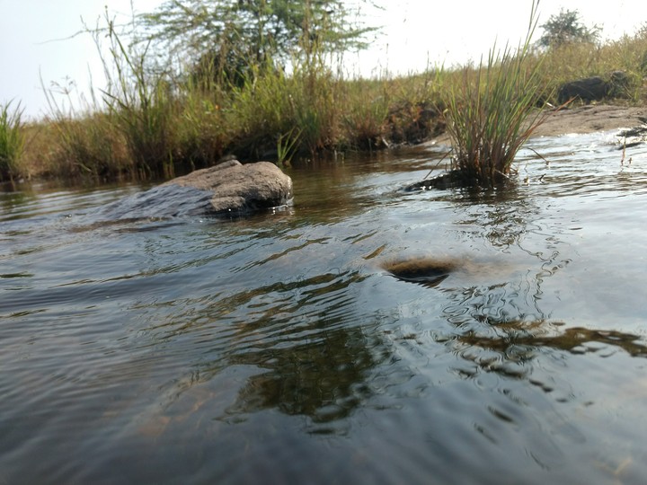 lake