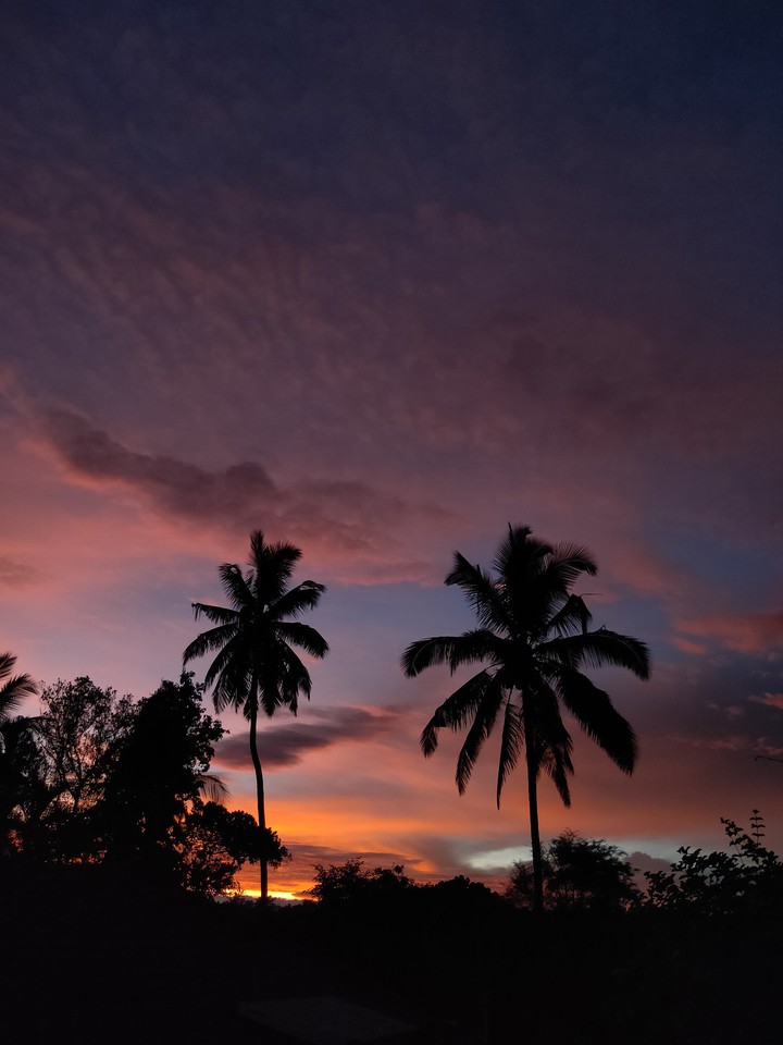 Sky