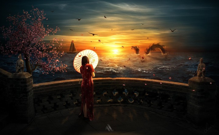 Wonder