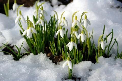 Spring