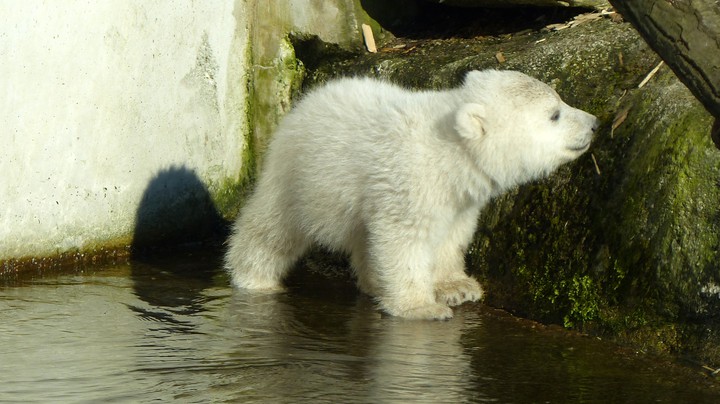Tierpark Hellabrunn 2014
