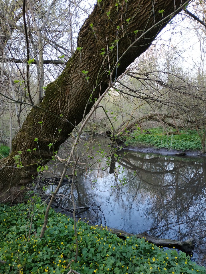 river