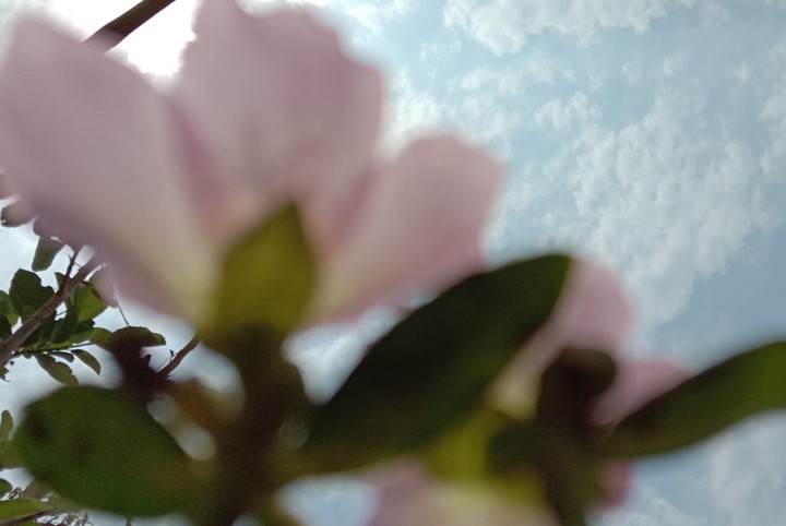 photographyr purna