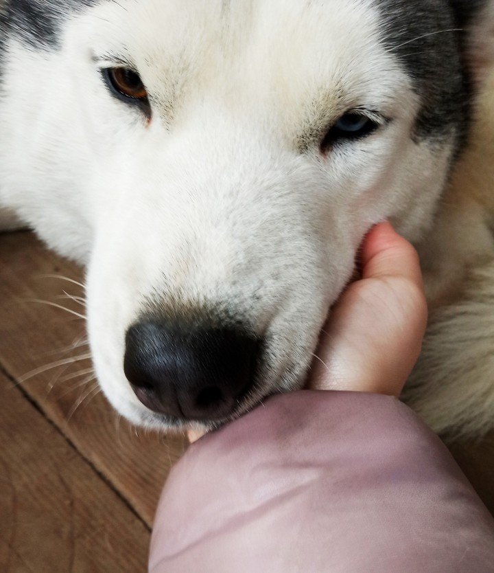 ня