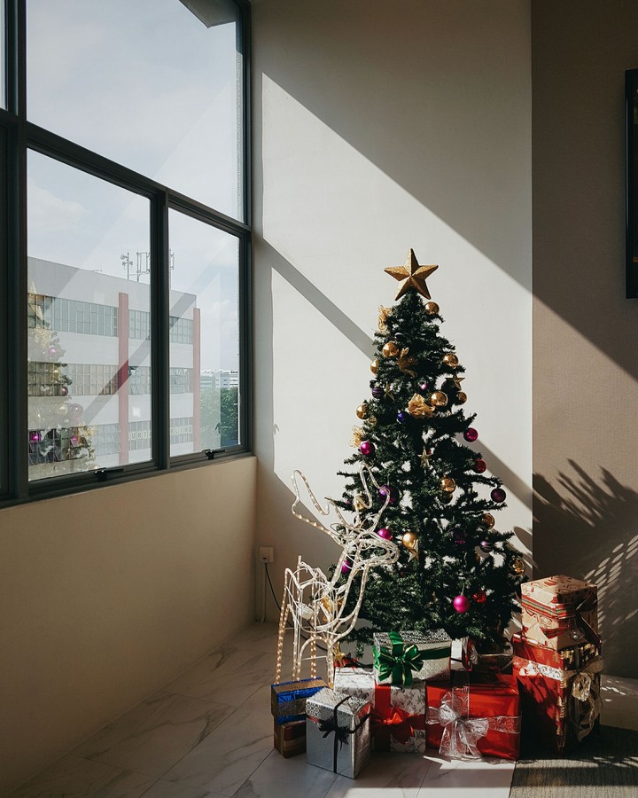 Sunset christmas