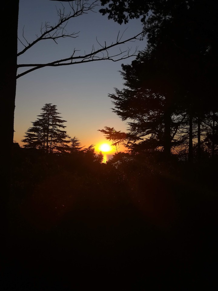 Sunset