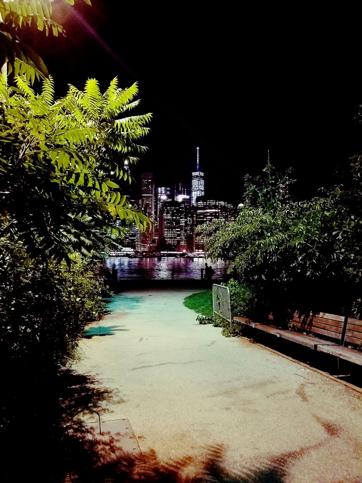City Lights